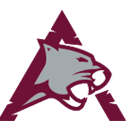Stylized logo of a wildcat integrated with the letter A.