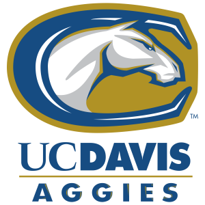Logo with a stylized horse head and letter C on a gold background.