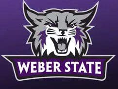 Weber State Wildcats logo with a fierce wildcat head and bold text.