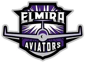 Elmira Aviators purple and silver sports logo with stylized airplane.