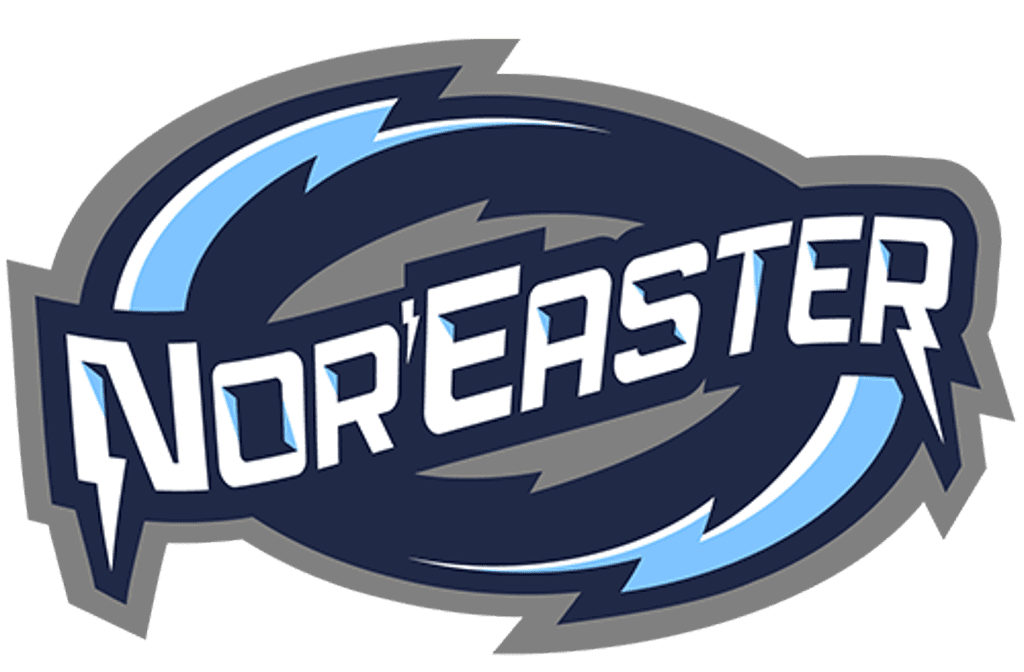 Stylized logo with the word 'Northeastern' in bold letters and a blue swirling design.