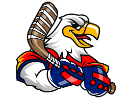 A fierce eagle holding a hockey stick, wearing gloves and a determined expression.