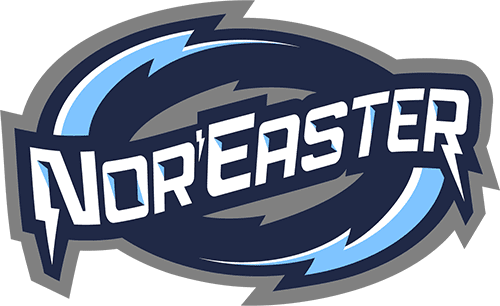 Logo with 'Noreaster' text and lightning bolt design in blue and gray.