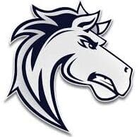 Stylized fierce horse head logo in black and white.