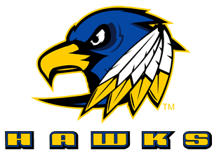 Logo of a fierce blue and yellow hawk with sharp eyes and feathers.