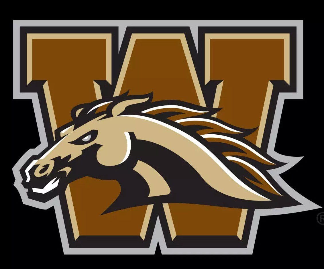 Logo featuring a stylized horse head and a large letter W in the background.