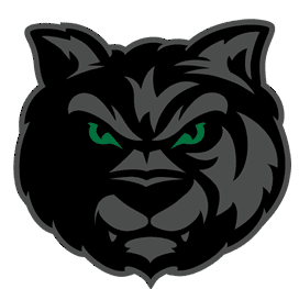 A fierce black panther head logo with piercing green eyes.