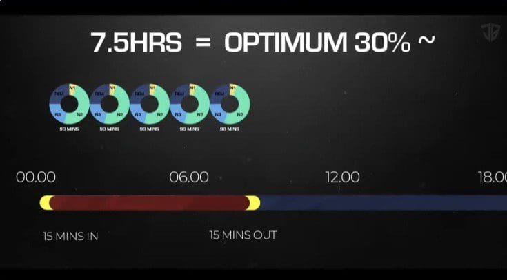 Graphic showing optimum 30-minute activity windows between 5 and 12 hours.