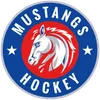 Mustangs Hockey logo with a white horse and bold text.