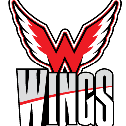 Logo with red wings and bold text "WINGS".