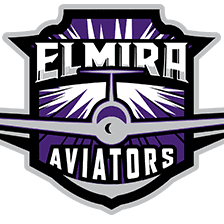 Elmira Aviators purple and silver sports logo with stylized airplane.