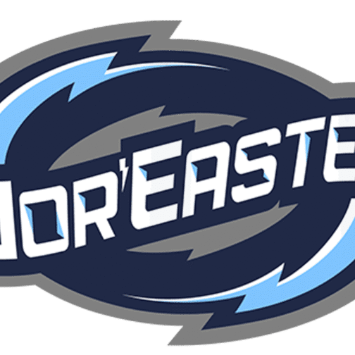 Stylized logo with the word 'Northeastern' in bold letters and a blue swirling design.