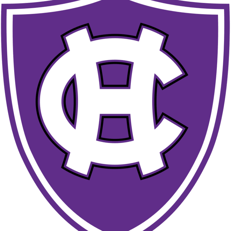 Purple shield logo with stylized white letters.