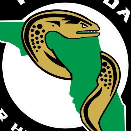 Logo featuring a stylized fish and a green shape.