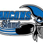 Logo of Faucons Le Sommet featuring a fierce falcon head.