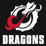 A fierce dragon breathing fire with the word 'DRAGONS' below.
