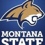 Montana State Bobcats logo with fierce bobcat head.