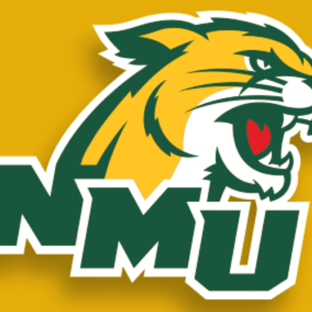 Northern Michigan wildcat head with NMU letters