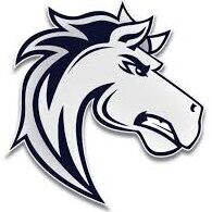 Stylized fierce horse head logo in black and white.