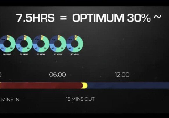 Graphic showing optimum 30-minute activity windows between 5 and 12 hours.