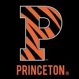 Princeton's bold 'P' logo with tiger stripes on black background.
