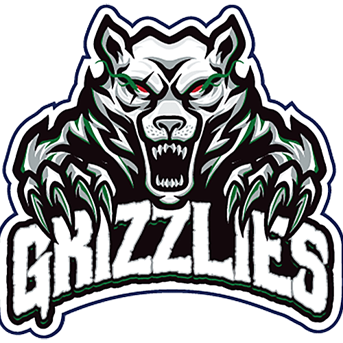A fierce grizzly bear logo with glowing eyes and sharp teeth.