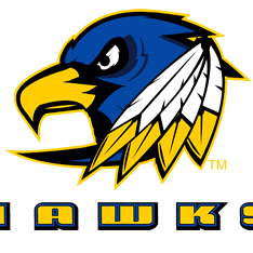 Logo of a fierce blue and yellow hawk with sharp eyes and feathers.
