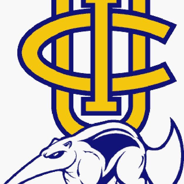 Logo with intertwined letters and an armadillo illustration.