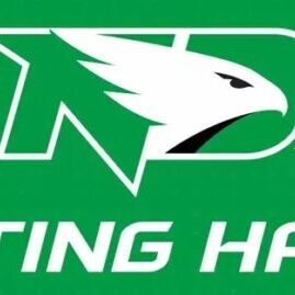 Logo of a fierce hawk with bold green and white colors.