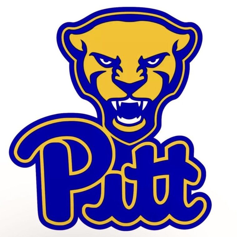 Fierce panther head above bold 'Pitt' text in blue and gold.