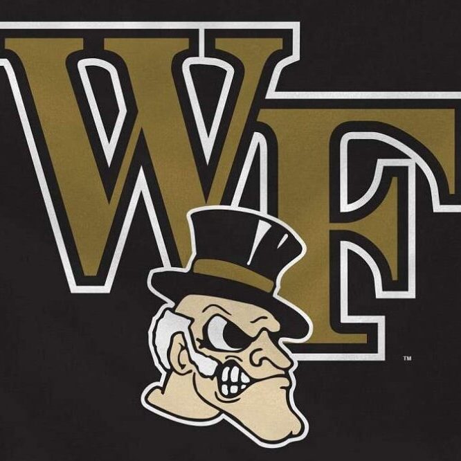 Logo featuring a stylized angry mascot with 'WF' letters.