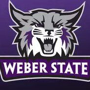 Weber State Wildcats logo with a fierce wildcat head and bold text.