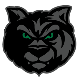 A fierce black panther head logo with piercing green eyes.